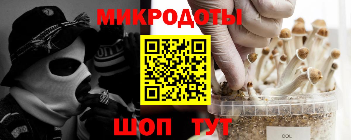 Сунжа  Псилоцибиновые грибы Magic Shrooms  Вход с VPN 